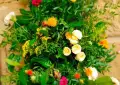 raquel-solar-floristas